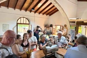 Mezza giornata a Paphos con degustazione di vino gratuita - Max 7 persone - Aria condizionata