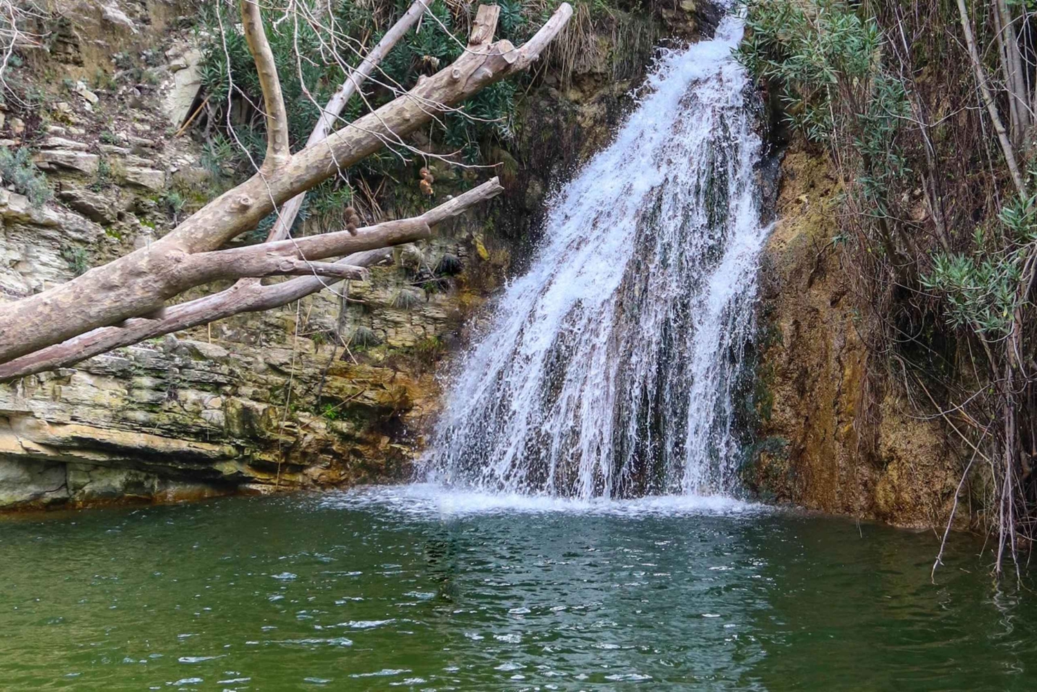Paphos: Halvdagstur med jeep på Akamashalvön (privat)