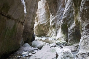 Paphos: Halvdagstur med jeep på Akamashalvön (privat)