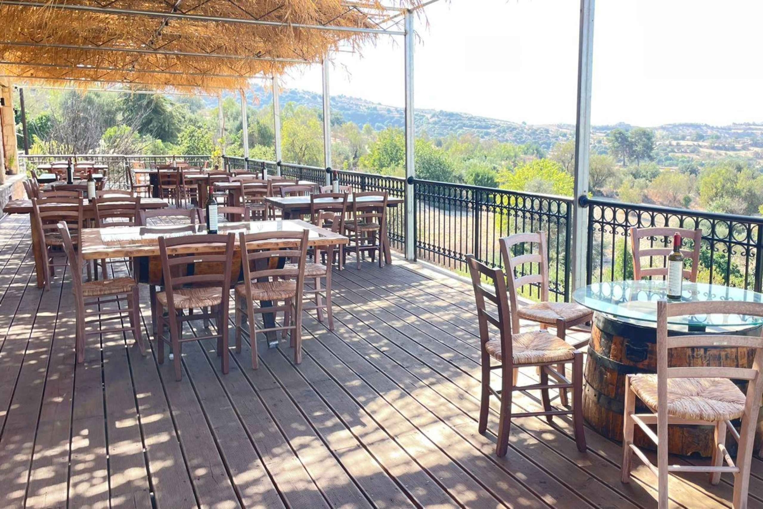 Vintur i Pafos kullar: Tsangarides, Kolios och Vouni Panayia