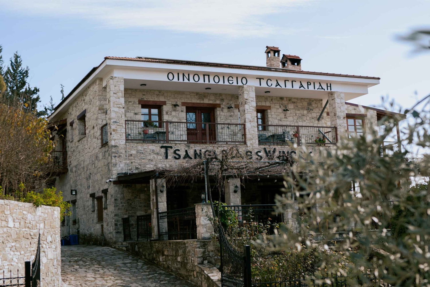 Vintur i Pafos kullar: Tsangarides, Kolios och Vouni Panayia