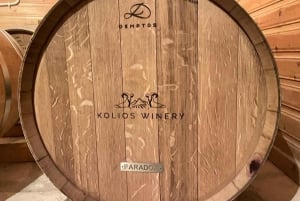 Visite des vignobles des collines de Paphos : Tsangarides, Kolios et Vouni Panayia