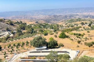 Visite des vignobles des collines de Paphos : Tsangarides, Kolios et Vouni Panayia