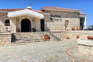 Visite des vignobles des collines de Paphos : Tsangarides, Kolios et Vouni Panayia