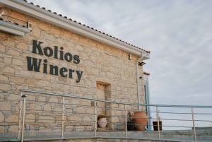 Visite des vignobles des collines de Paphos : Tsangarides, Kolios et Vouni Panayia