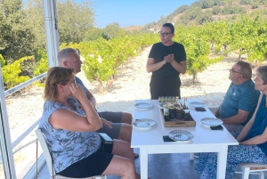 Visite des vignobles des collines de Paphos : Tsangarides, Kolios et Vouni Panayia
