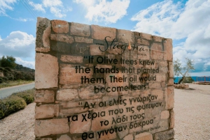 Visite des vignobles des collines de Paphos : Tsangarides, Kolios et Vouni Panayia