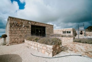 Visite des vignobles des collines de Paphos : Tsangarides, Kolios et Vouni Panayia