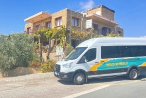 Visite des vignobles des collines de Paphos : Tsangarides, Kolios et Vouni Panayia