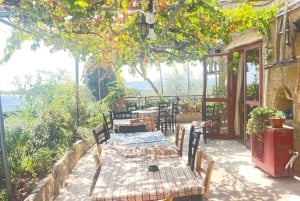 Visite des vignobles des collines de Paphos : Tsangarides, Kolios et Vouni Panayia