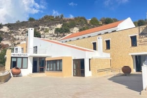 Visite des vignobles des collines de Paphos : Tsangarides, Kolios et Vouni Panayia