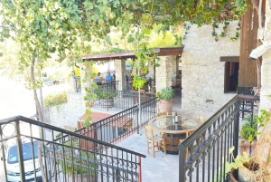 Vintur i Pafos kullar: Tsangarides, Kolios och Vouni Panayia