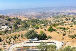 Vintur i Pafos kullar: Tsangarides, Kolios och Vouni Panayia