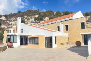 Vintur i Pafos kullar: Tsangarides, Kolios och Vouni Panayia