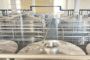 Vintur i Pafos kullar: Tsangarides, Kolios och Vouni Panayia