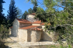 Paphos: Letymbou og Panayia Guidet udflugt på fransk med smagninger