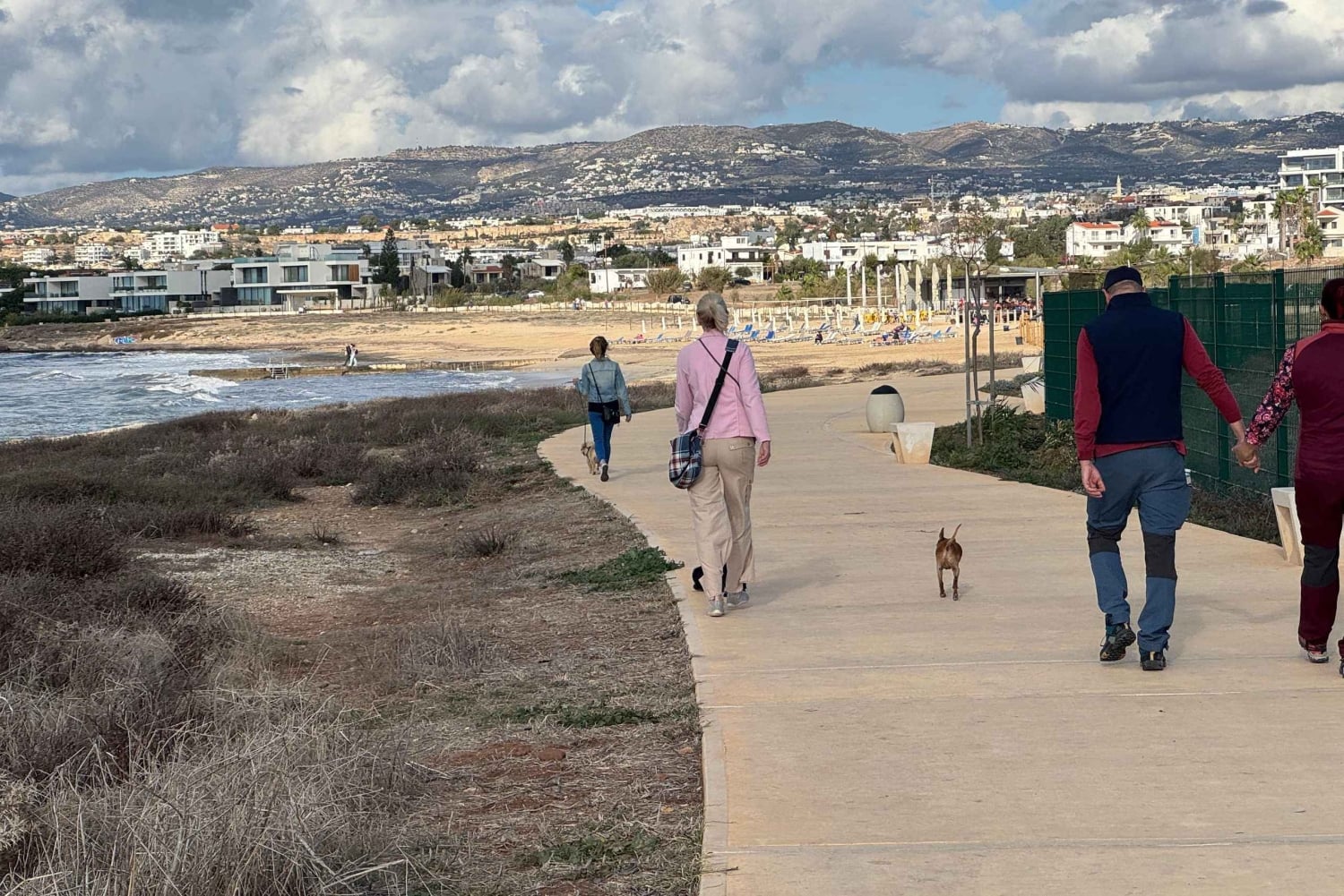 Paphos: Lighthouse Area Beach Walk with Rescue Dogs