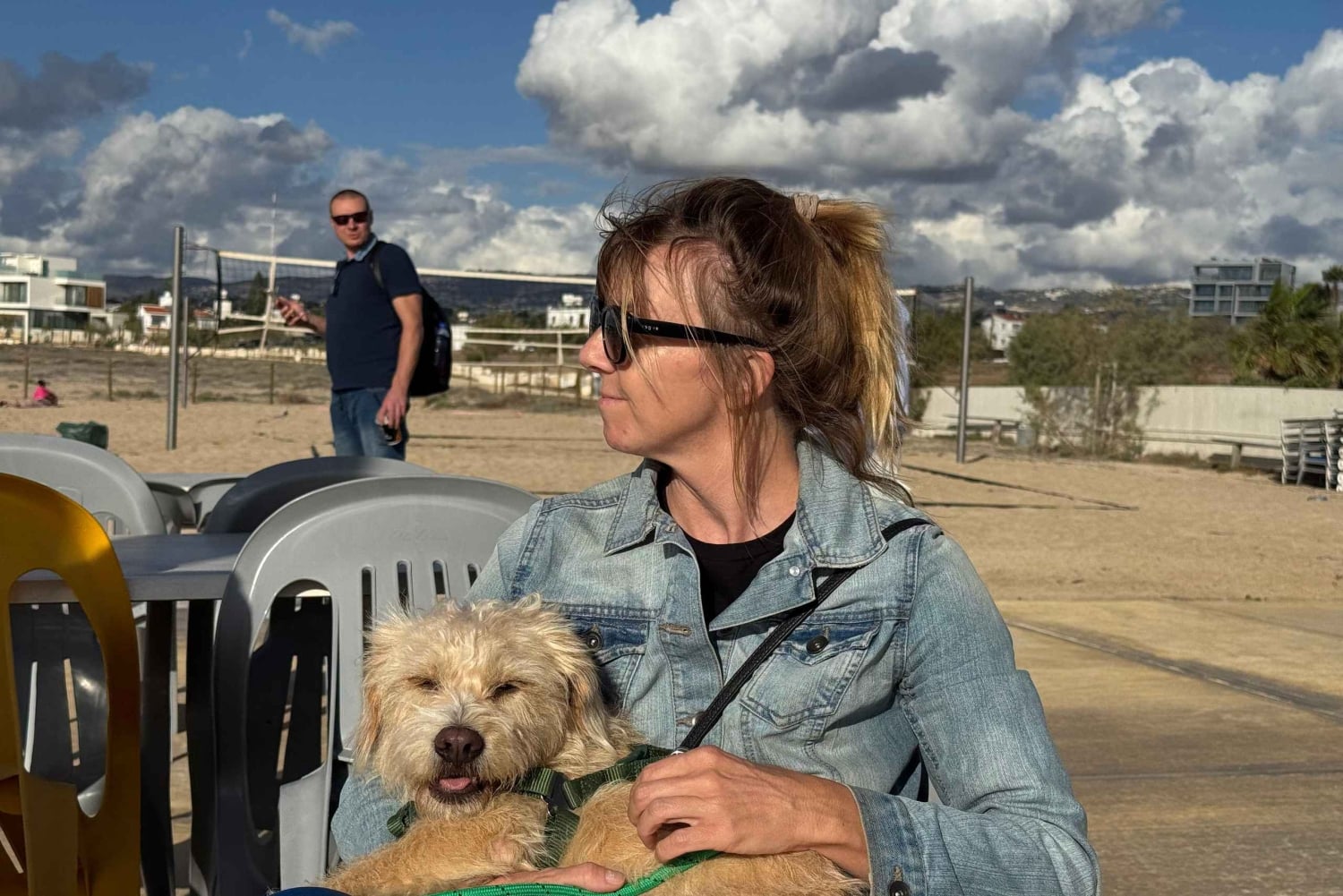 Paphos: Lighthouse Area Beach Walk with Rescue Dogs