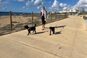 Paphos: Lighthouse Area Beach Walk with Rescue Dogs