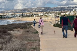 Paphos: Lighthouse Area Beach Walk with Rescue Dogs