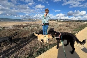 Paphos: Lighthouse Area Beach Walk with Rescue Dogs