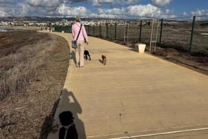 Paphos: Lighthouse Area Beach Walk with Rescue Dogs