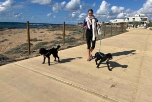 Paphos: Lighthouse Area Beach Walk with Rescue Dogs