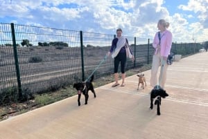 Paphos: Lighthouse Area Beach Walk with Rescue Dogs