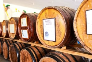 Paphos: Visita às adegas locais com provas de vinho