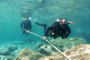 Paphos: Mediterranean Scuba Diving Half-Day Tour