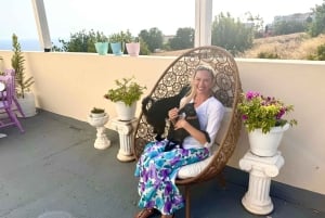 Paphos/Peyia: Kaffee, Kuchen und Kuscheln mit geretteten Welpen