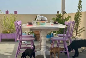 Paphos/Peyia: Kaffee, Kuchen und Kuscheln mit geretteten Welpen