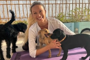 Paphos (Peyia): Mindful yoga med redningshvalpe