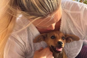 Paphos (Peyia): Mindful yoga med redningshvalpe