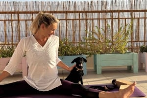Paphos (Peyia): Mindful yoga med redningshvalpe