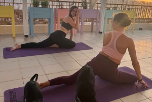 Pafos (Peyia): Mindful-joogaa pelastuskoirien kanssa