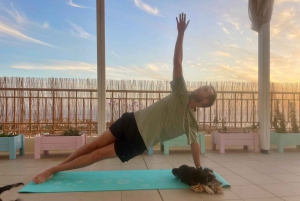 Pafos (Peyia): Mindful-joogaa pelastuskoirien kanssa