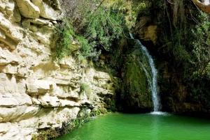 Paphos: Private Jeep Safari to Akamas including Waterfalls