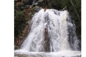 Superteamet: Akamas & Avakas Jeep Safari från Paphos