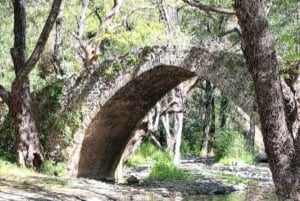 Superteamet: Akamas & Avakas Jeep Safari från Paphos