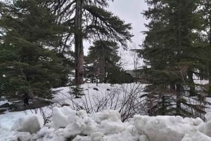 Superteamet: Akamas & Avakas Jeep Safari från Paphos