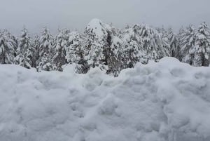 Superteamet: Akamas & Avakas Jeep Safari från Paphos