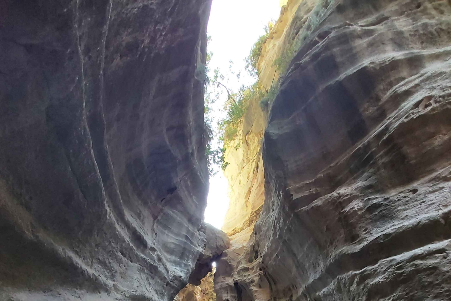 “Paphos Private Tour: Akamas, Avakas, Turtle Bay & Winery”