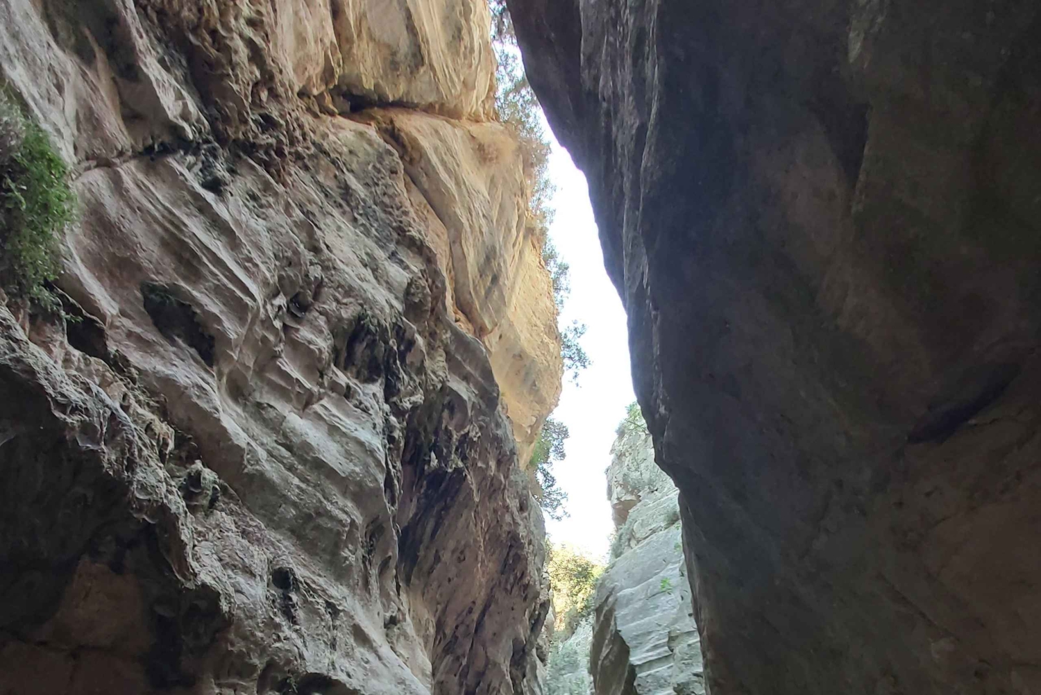 “Paphos Private Tour: Akamas, Avakas, Turtle Bay & Winery”