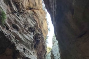 Tour privato di Paphos: Akamas, Avakas, Turtle Bay e cantina