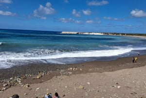 Tour privato di Paphos: Akamas, Avakas, Turtle Bay e cantina