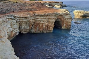 Tour privato di Paphos: Akamas, Avakas, Turtle Bay e cantina