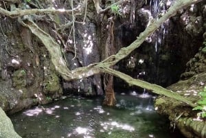 Tour privato di Paphos: Akamas, Avakas, Turtle Bay e cantina