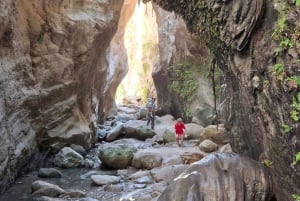 Tour privato di Paphos: Akamas, Avakas, Turtle Bay e cantina