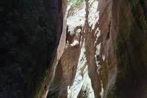 Tour privato di Paphos: Akamas, Avakas, Turtle Bay e cantina